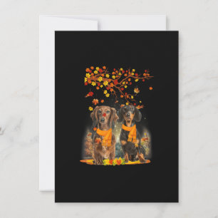 Hej Autumn Season Happy thanksgiving Dachshund F Inbjudningar