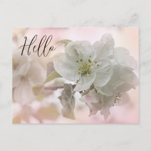 Hej av fotografi av vit Blommar för äpple Vykort