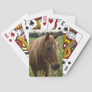 Hej av häst casinokort
