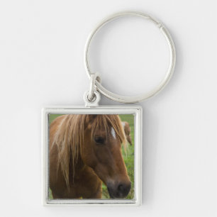 Hej av häst fyrkantig silverfärgad nyckelring