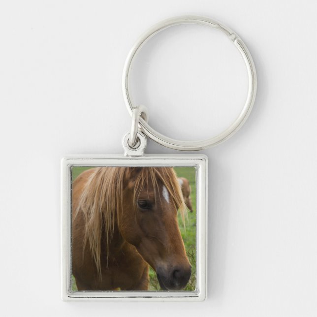 Hej av häst fyrkantig silverfärgad nyckelring (Framsidan)