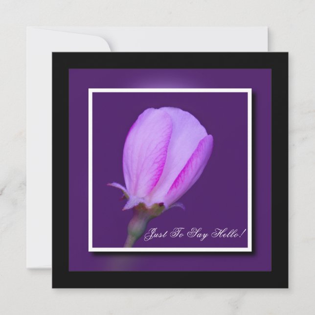 Hej av rosa och Lila Vår Blommar Kort (Framsida)