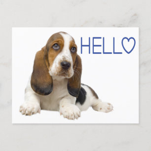 Hej Basset Hound Puppy Hund Blue Thinking of You Vykort