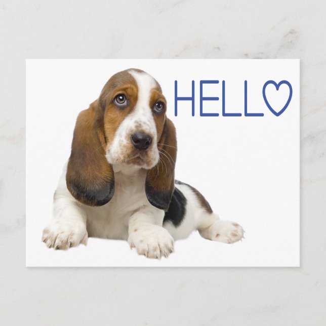 Hej Basset Hound Puppy Hund Blue Thinking of You Vykort (Framsida)