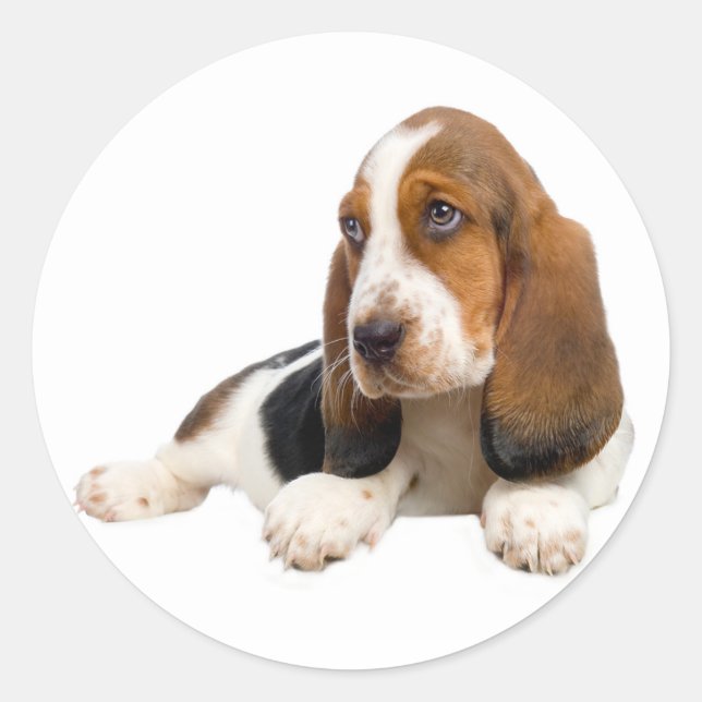 Hej Basset Hound Puppy Hund-etikett / etikett (Framsida)