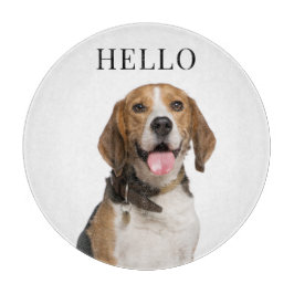 Hej Beagle Hund Personlig Photo