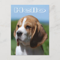 Hej Beagle Puppy Hund Hälsning-vykort