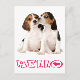 Hej Beagle Valp Hund Välkomst Gratulationskort Vykort