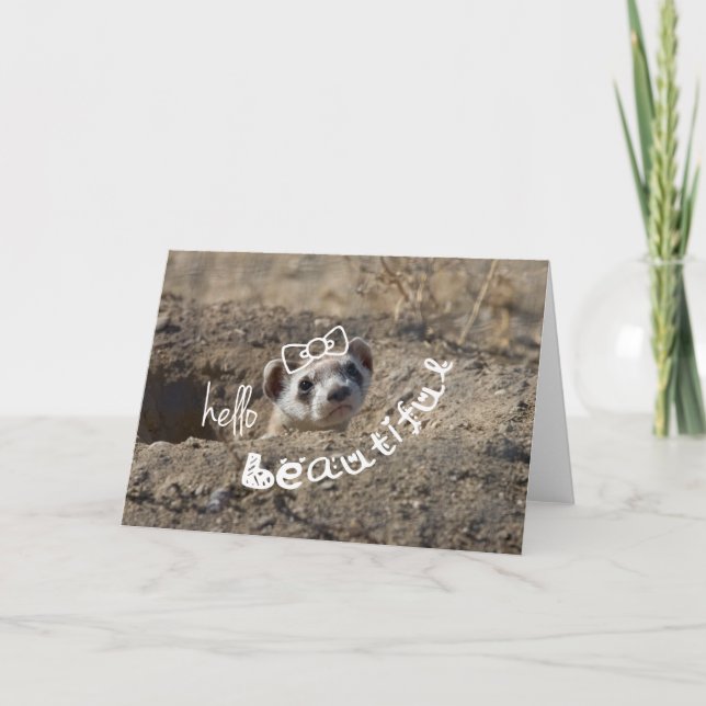 Hej Benice Kort (Framsida)