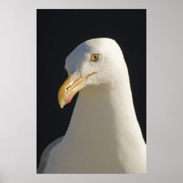 Hej Big Fella Print Poster (Framsidan)