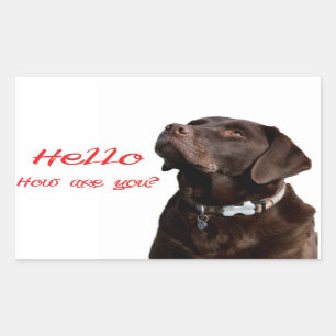 Hej Black Brown Labrador Retriever-etikett Rektangulärt Klistermärke