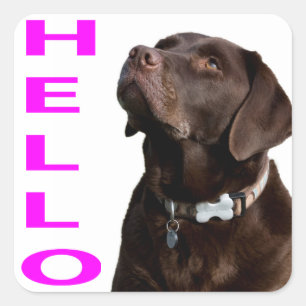 Hej Black Brown Labrador Retriever Sticker etikett