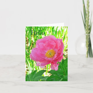 "HEJ" BLOMMIGT/ROSA PERONY/NOTECARD /BLANK INSIDE KORT