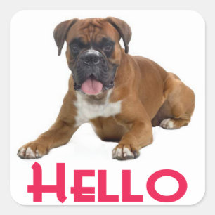 Hej Boxer Puppy Hund Hälsning Sticker Fyrkantigt Klistermärke