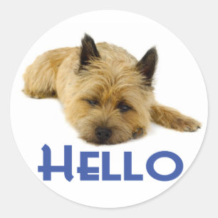Hej Cairn Terrier Puppy Hund Stickers Runt Klistermärke