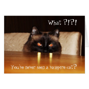 Hej Card Cute Funny Vampire Cat Photo Hälsningskort