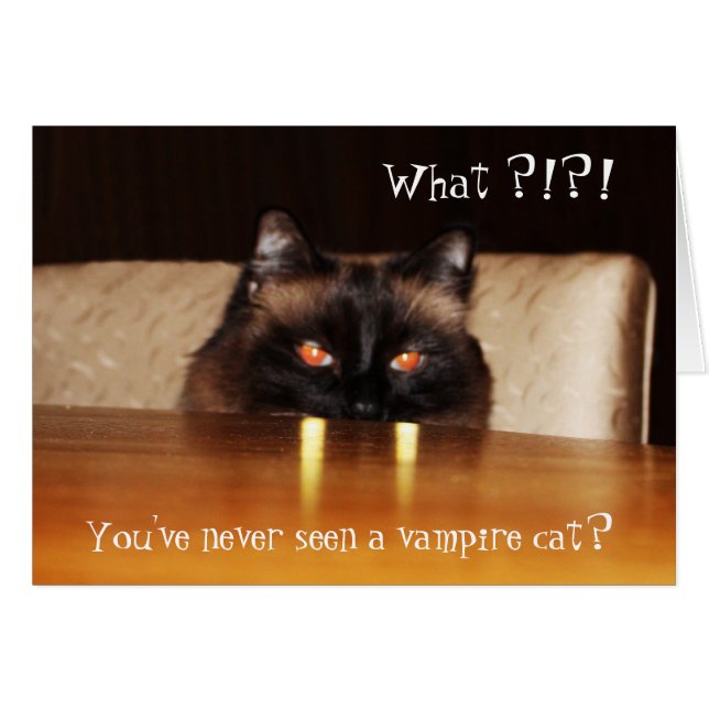Hej Card Cute Funny Vampire Cat Photo Hälsningskort (Framsidan Horizontal)