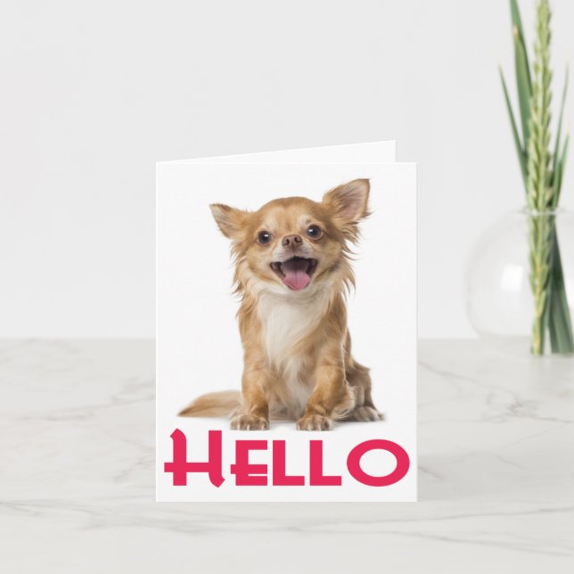 Hej Chihuahua Puppy Hund Blank Notecard Kort (Framsida)