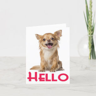 Hej Chihuahua Puppy Hund Blank Notecard Kort