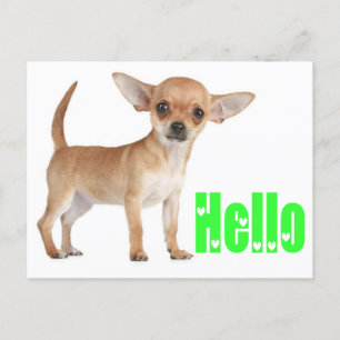 Hej Chihuahua Puppy-Hund-kort Vykort