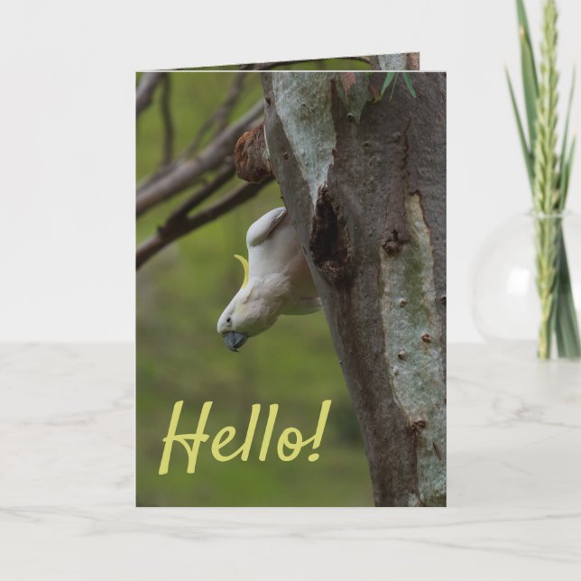 Hej! Cockatoos i Träd Australien Kort (Framsida)