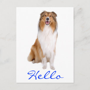 Hej Collie Puppy Hund Hälsning vykort