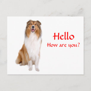 Hej Collie Puppy Hund Hälsning vykort
