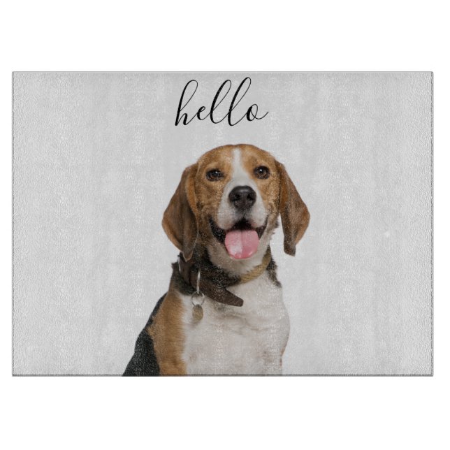 Hej Cute Beagle Hund Pet Photo (Framsidan)