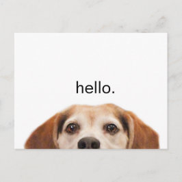 Hej Cute Funny Beagle Hund Modern Trendig Blank Vykort
