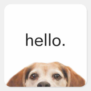 Hej Cute Funny Beagle Hund Modern Trendig Fyrkantigt Klistermärke