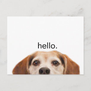 Hej Cute Funny Beagle Hund Nose Vykort