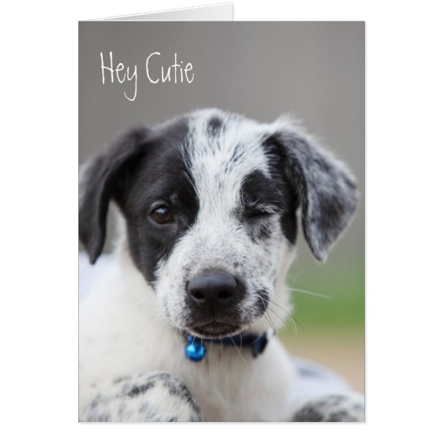 Hej Cutie Hälsningskort (Framsidan)