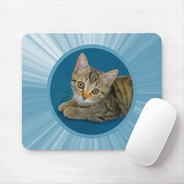 Hej cutie - söt kattunge musmatta (Med mus)