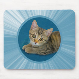 Hej cutie - söt kattunge musmatta