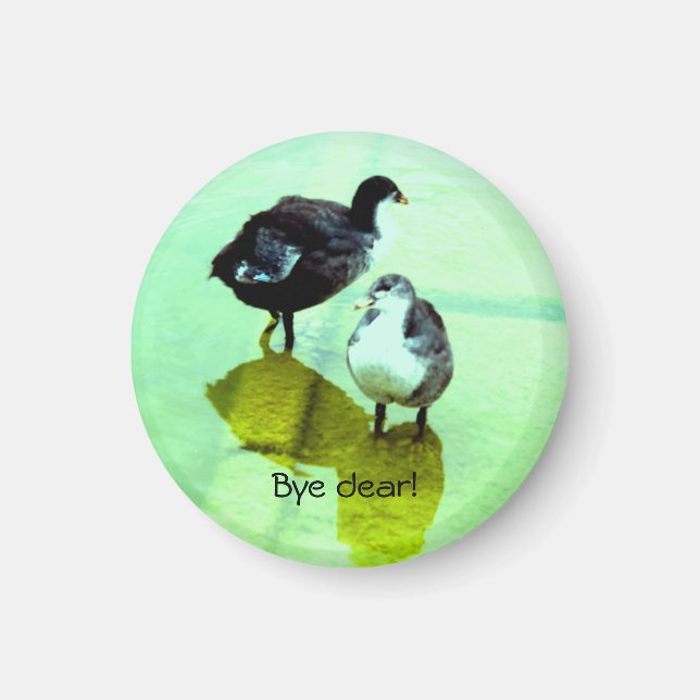 Hej då! magnet (Framsidan)