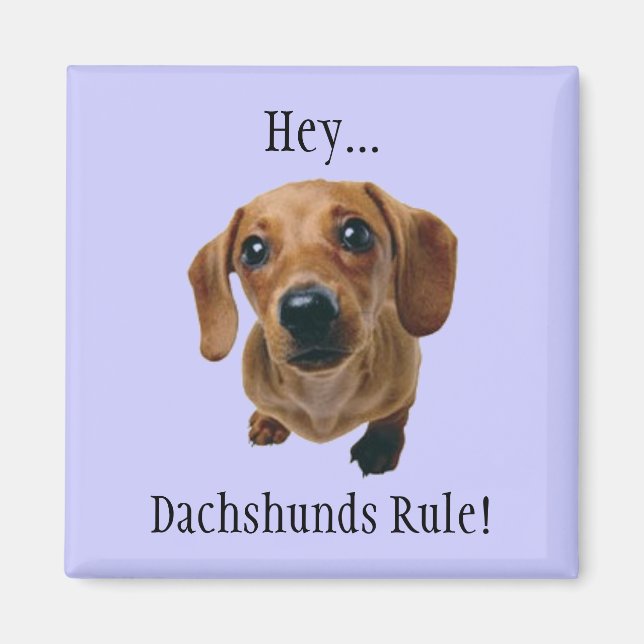 "Hej.. Dachshunds-regel!" Magnet (Framsidan)