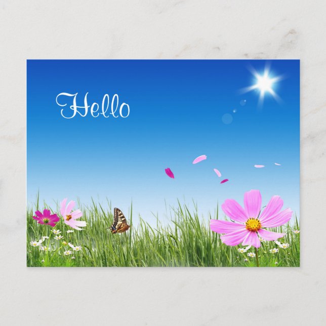 Hej Daisy Fjäril Blomma Trädgård Postkort Vykort (Framsida)