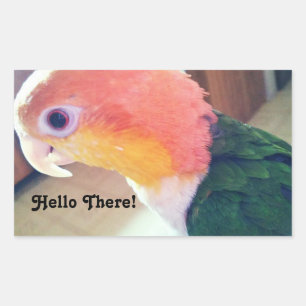 Hej där Bird Rektangulärt Klistermärke