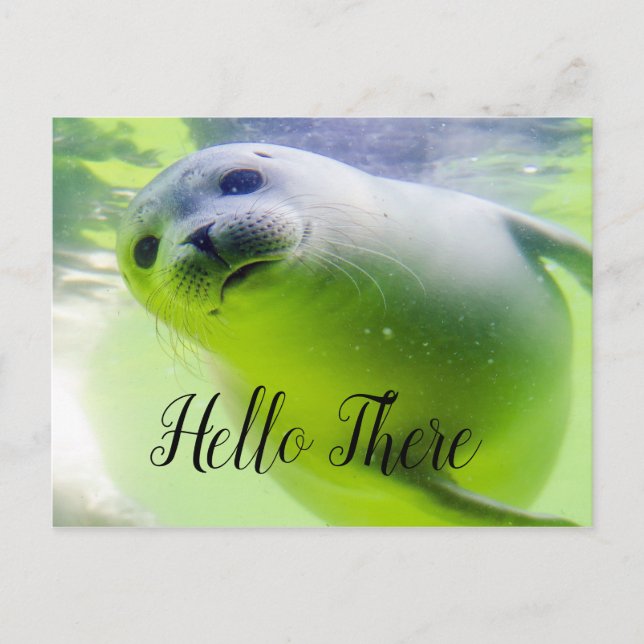 Hej Där Cute Seal Vykort (Framsida)