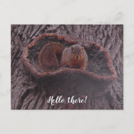 Hej där, Cute Squirrel-fotografi Vykort