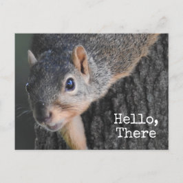 Hej, där, Cute Squirrel Photo Vykort