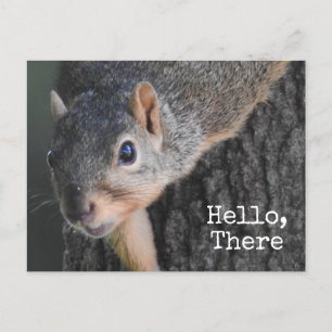 Hej, där, Cute Squirrel Photo Vykort