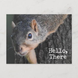 Hej, där, Cute Squirrel Photo Vykort