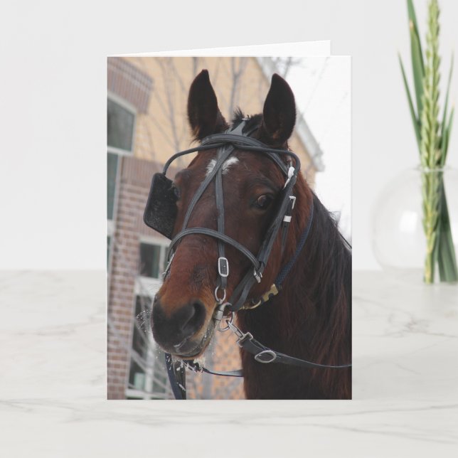Hej där, en Amish Horse Kort (Framsida)