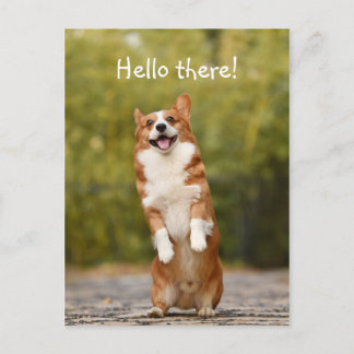 Hej där! / Funny Corgi Vykort
