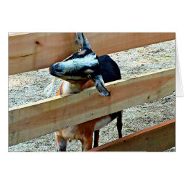 Hej där! gethälsningskort hälsningskort