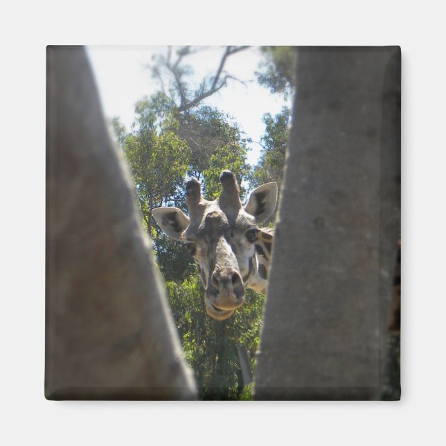 Hej, där Giraffe Magnet (Framsidan)