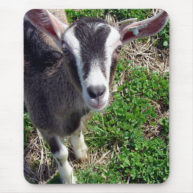 Hej, där Goat Musmatta (Framsidan)