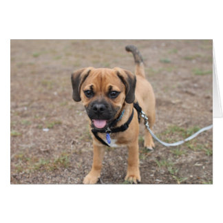 Hej där hälsningskort