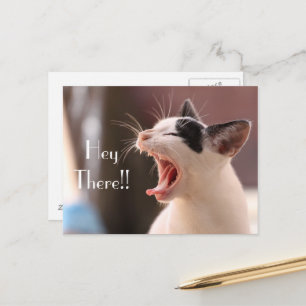"Hej där" Impatient Cat Hälsning Vykort